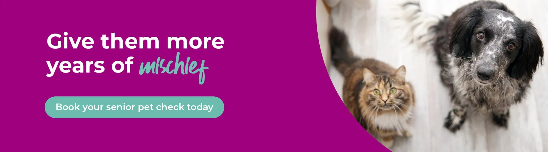 Garston Vets in Wiltshire and Somerset